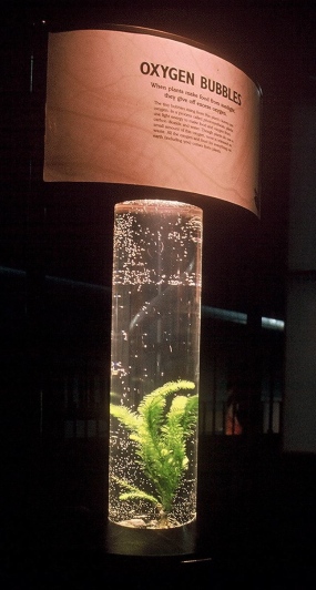exploratorium exhibit - Oxygen Bubbles
