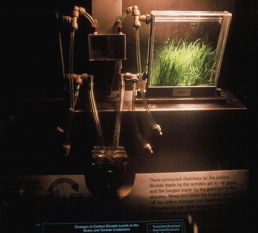 exploratorium exhibit - Trading Materials